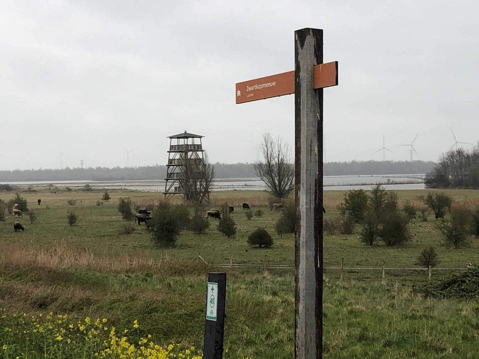 House | View from property