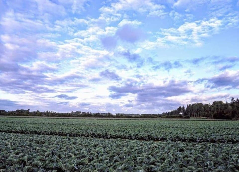 House | View from property