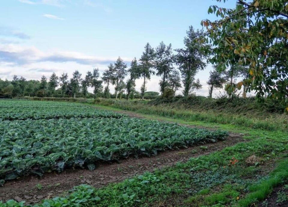 Apartment | View from property