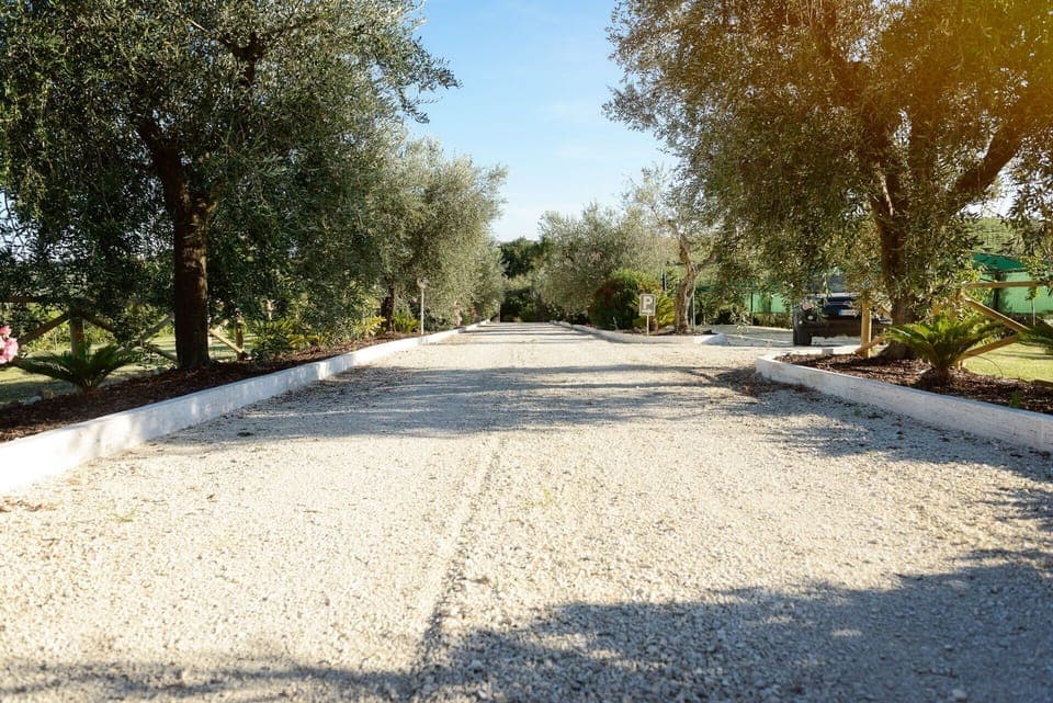 Garden, Outdoor, Scenic View