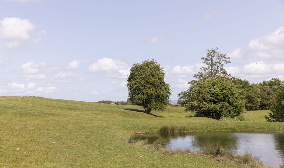 East Lodge, Yorkshire - amid the estate's 30 acres is a delightful beck with pathways running alongside