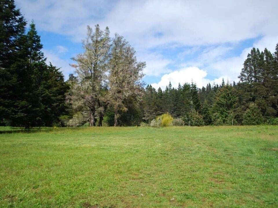 Meadow on property in springtime