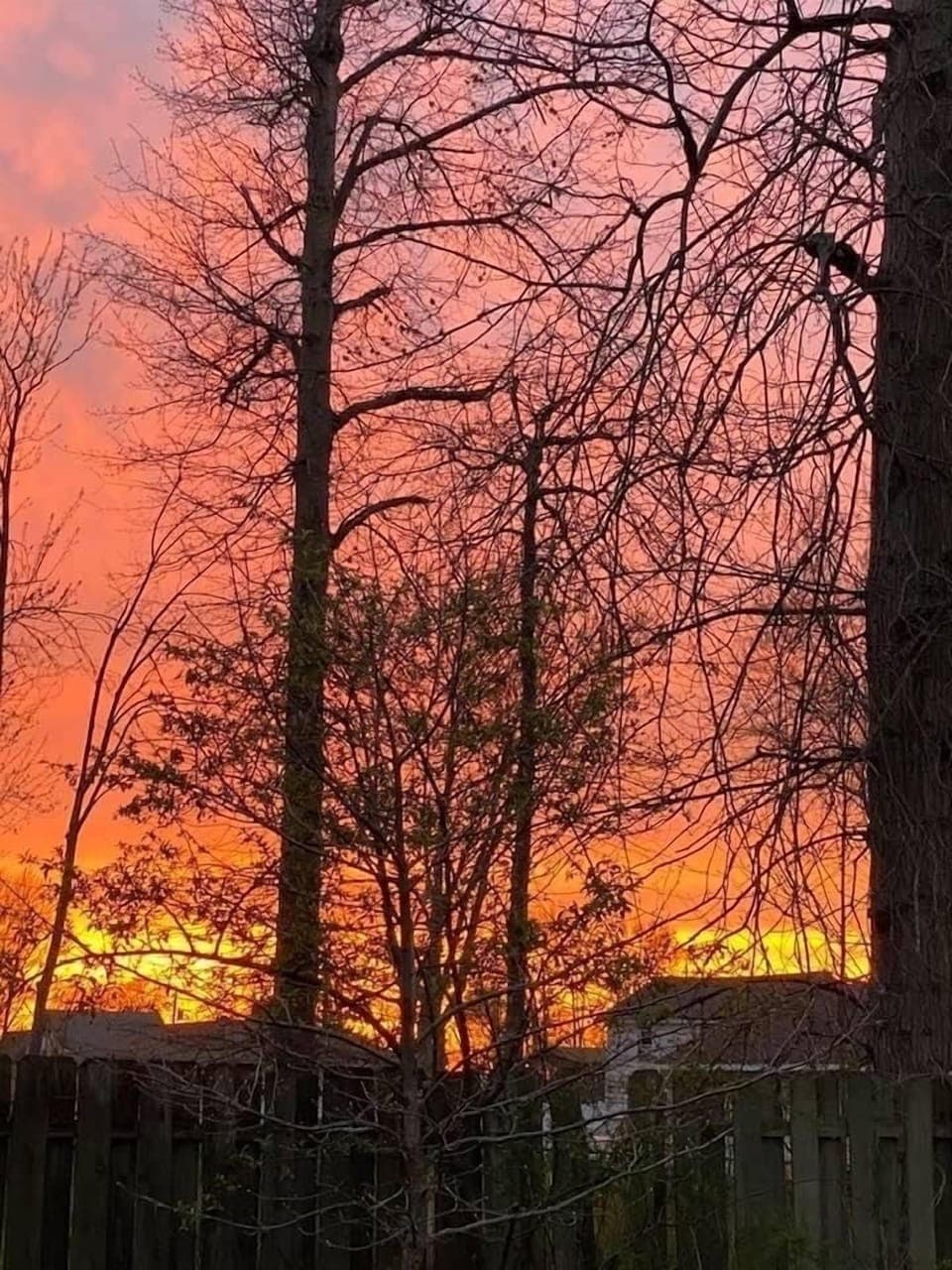 Sunset from fire pit