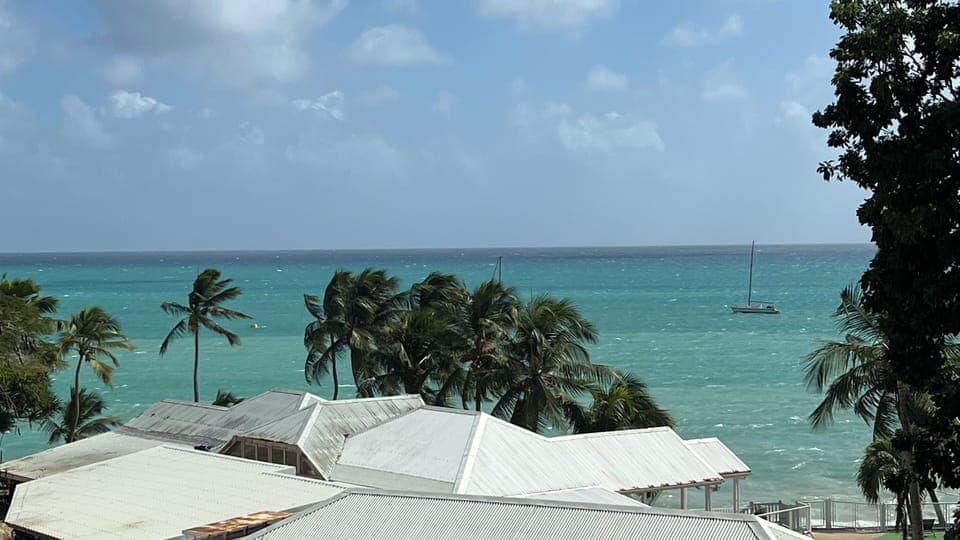 View from property