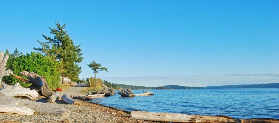 On the beach, kayaking, fishing