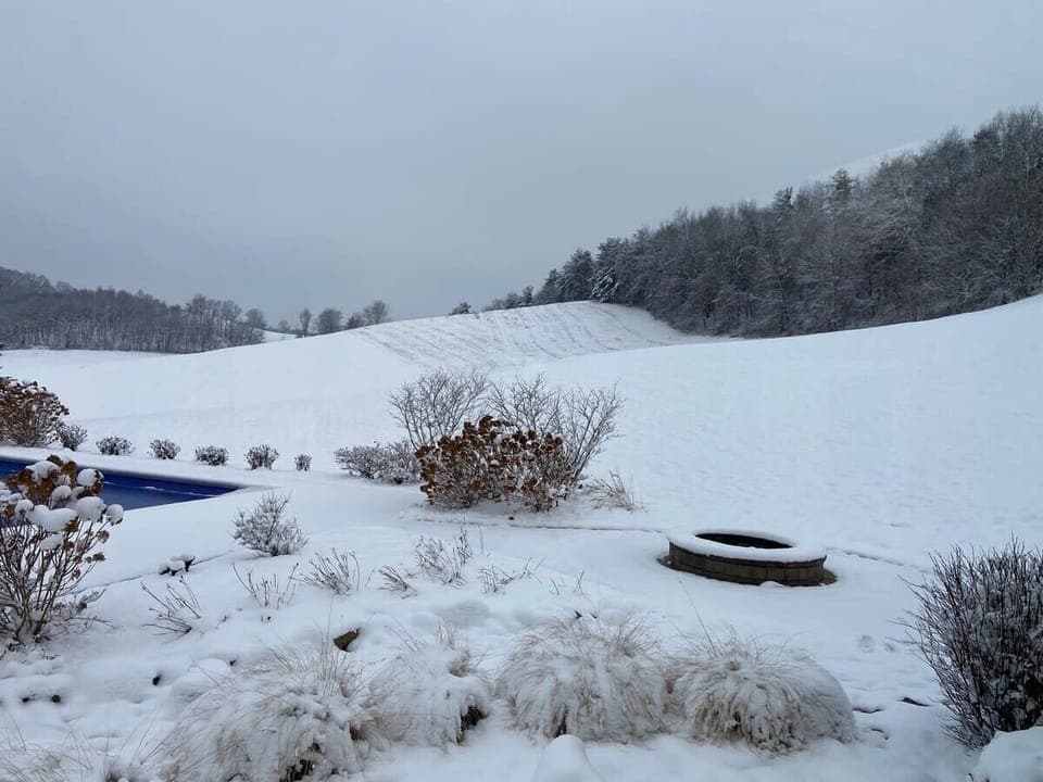 Fun hill behind the house for sledding!  Bring a sled!