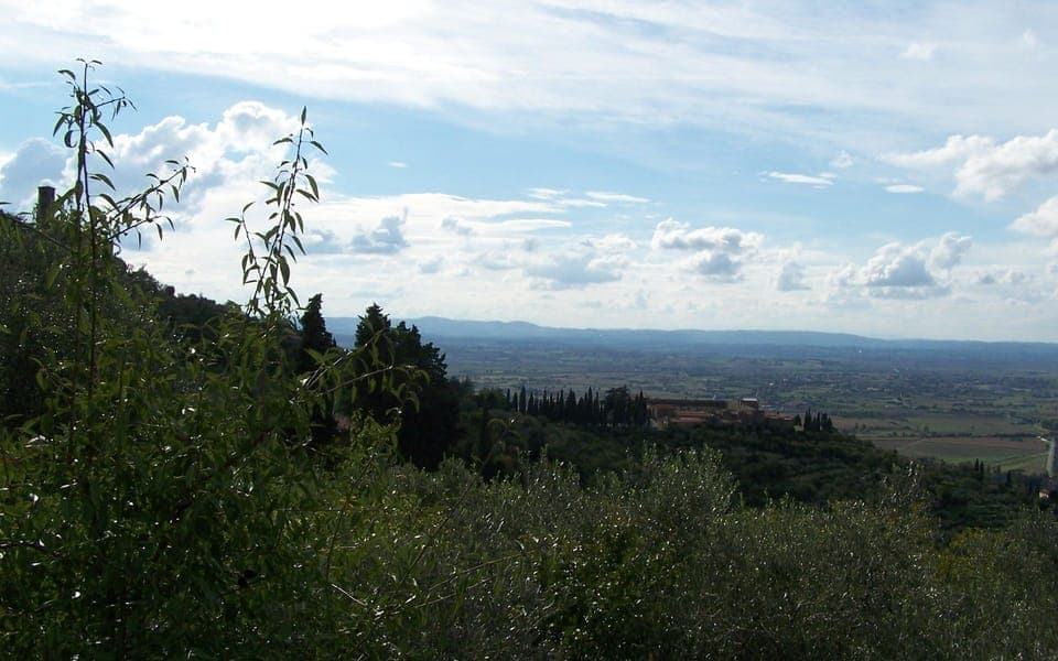 Panoramic view