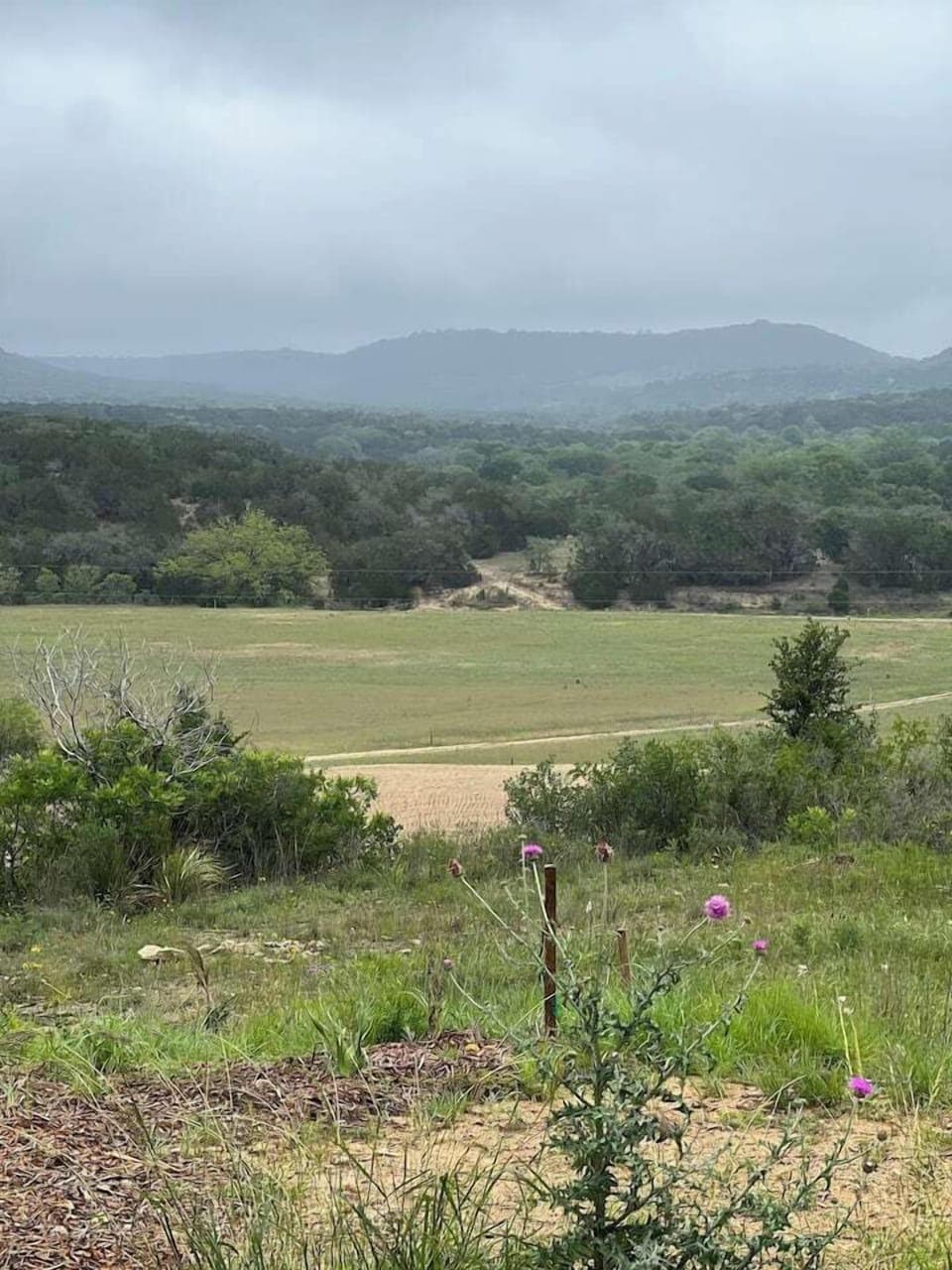 F4fe635e 6038 4265 a566 6fd18906a2c5