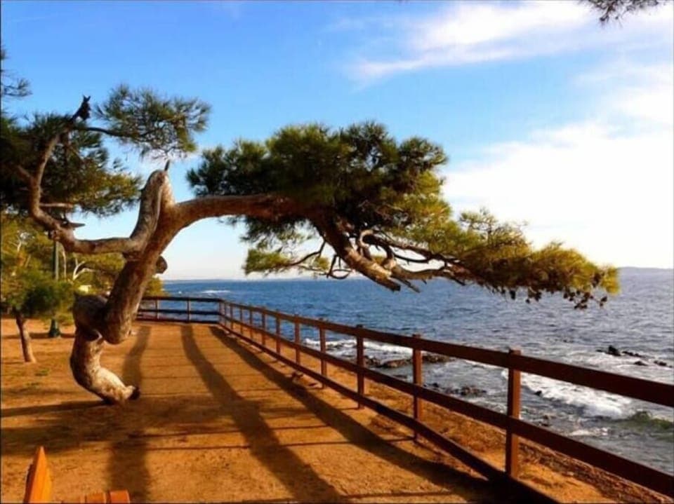 Dc4c1d9b 61d6 40c5 9b70 3c49c4eeeba0