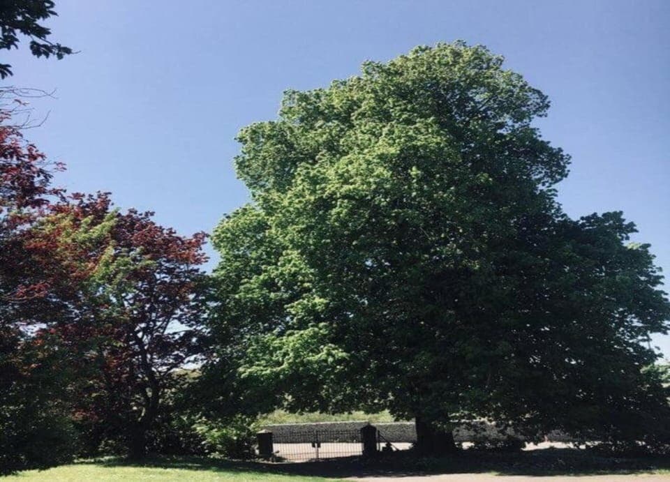 House | View from property