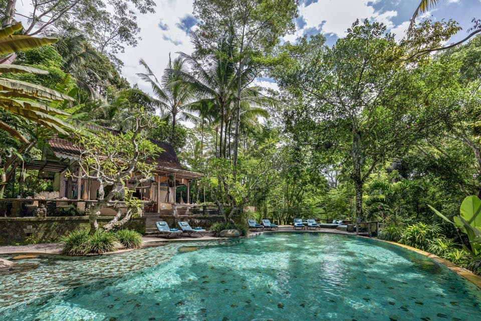 Outdoor pool, sun loungers