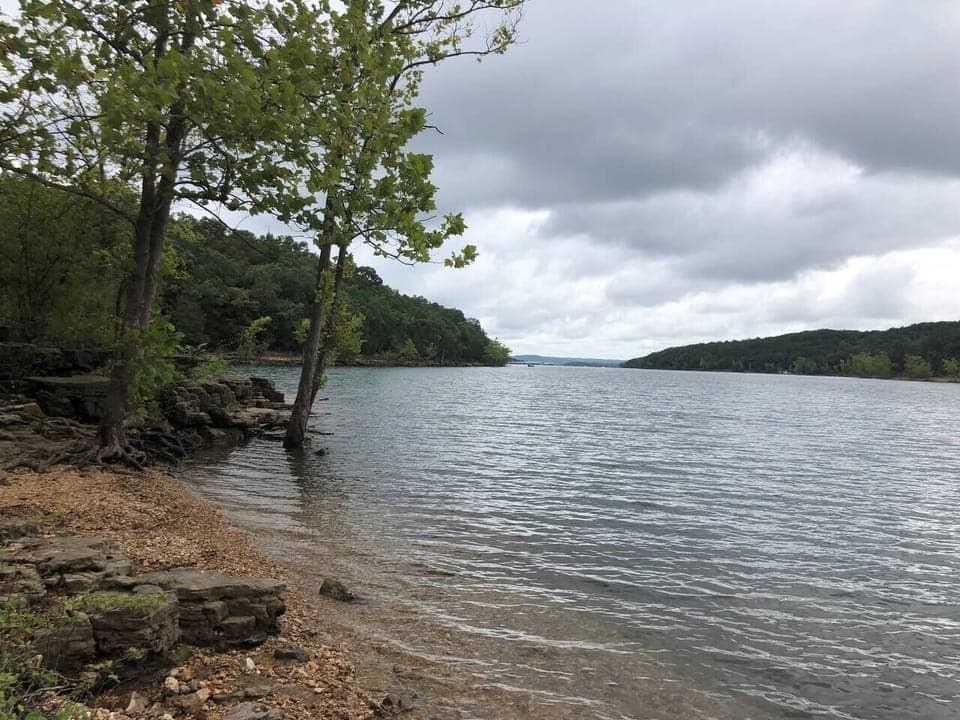 Just chillin' by the lake, basking in the warm sun, and admiring the serene view of the trees.