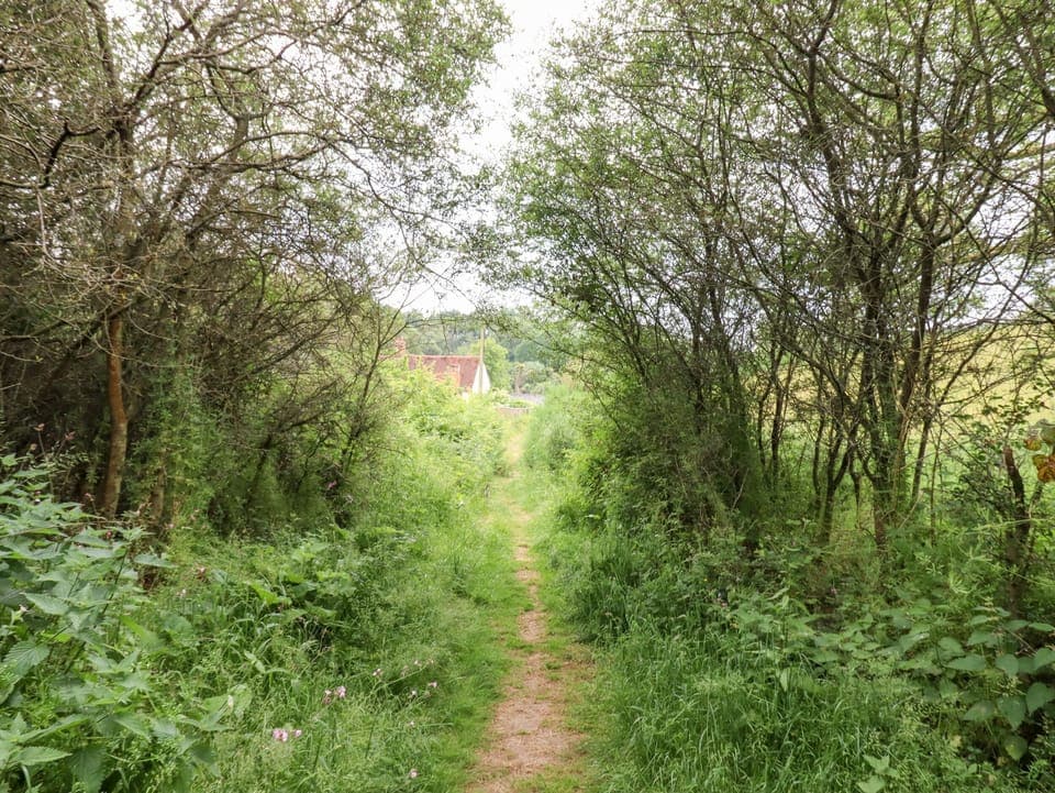 Cottage | Miscellaneous