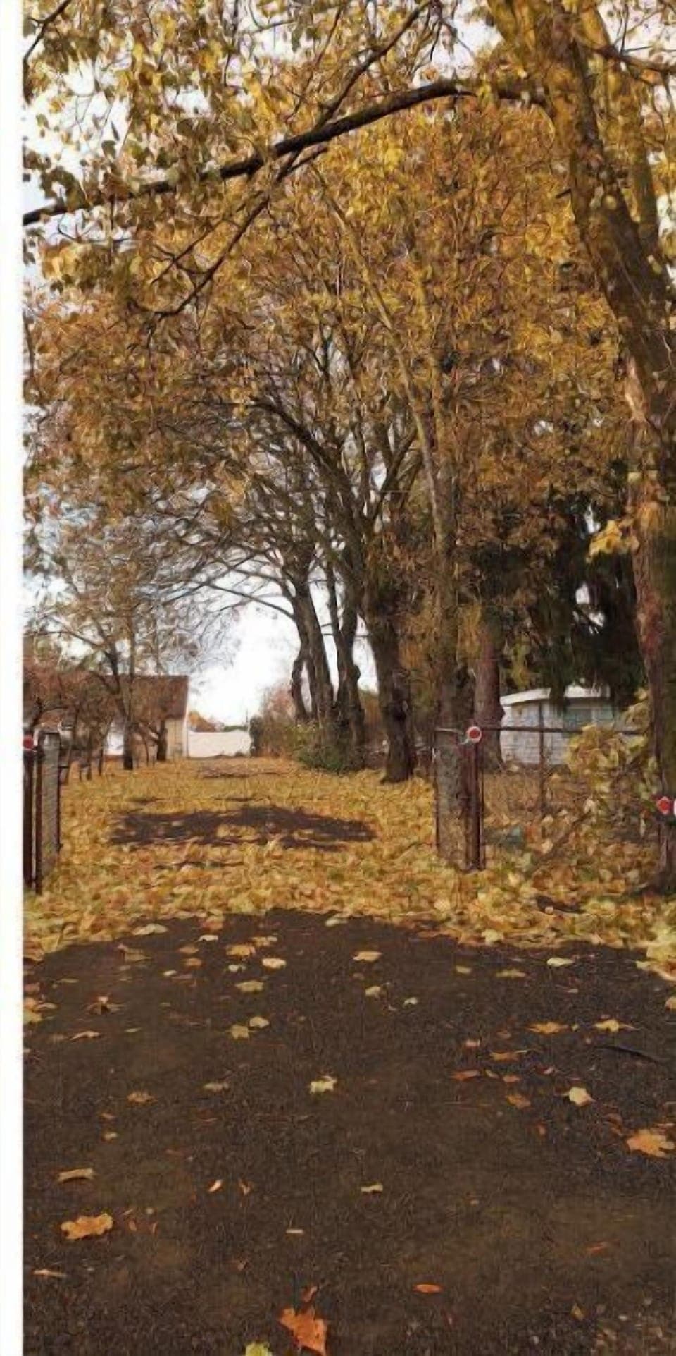 Fall is no less spectacular