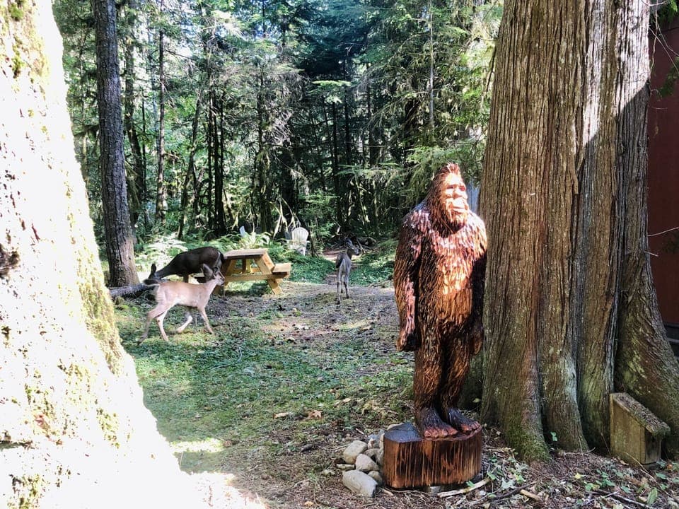 Our sasquatch, Harry, being visited by some neighborhood deer. 
