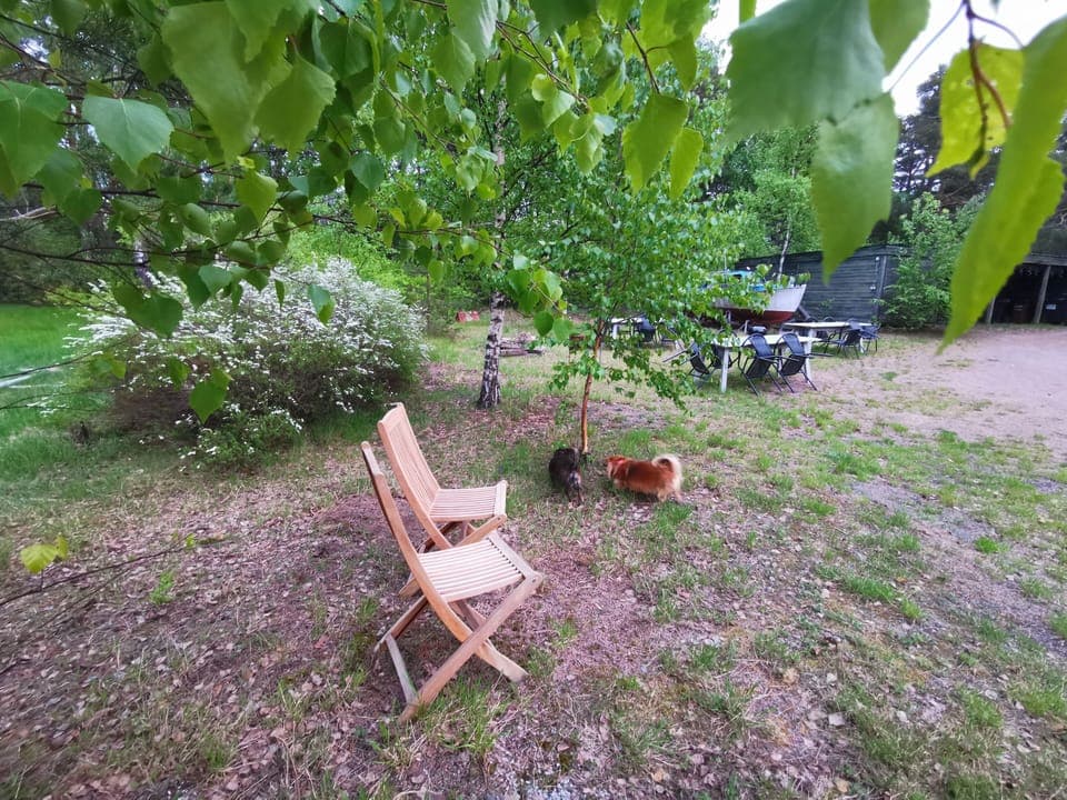 Apartment | Outdoor dining