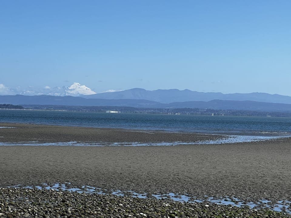 Mount Baker views from your backyard. Sandy beach at low tide.