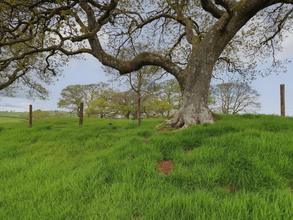 Cottage | Miscellaneous