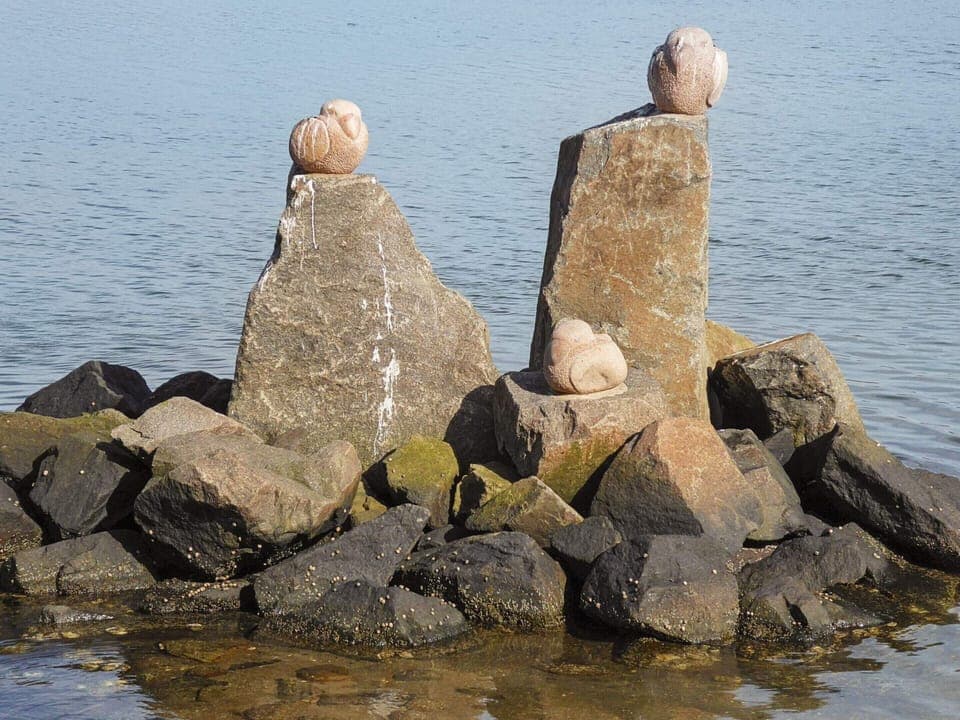 House | View from property