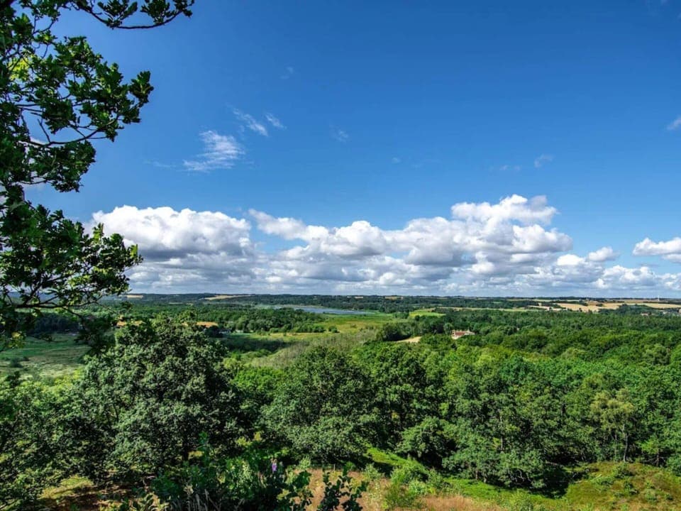 House | Miscellaneous