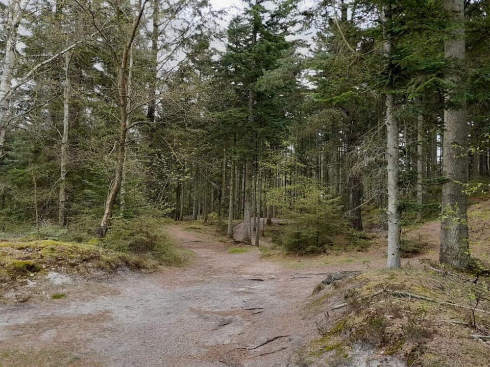 House | Miscellaneous