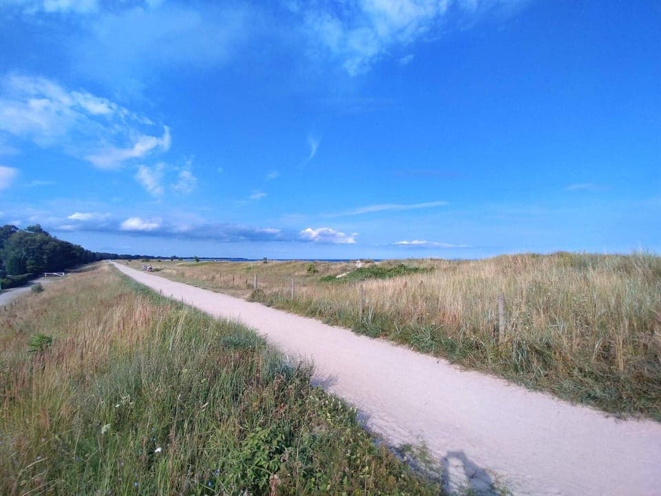 House | Miscellaneous