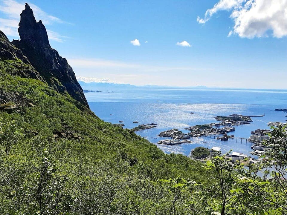 House | Miscellaneous