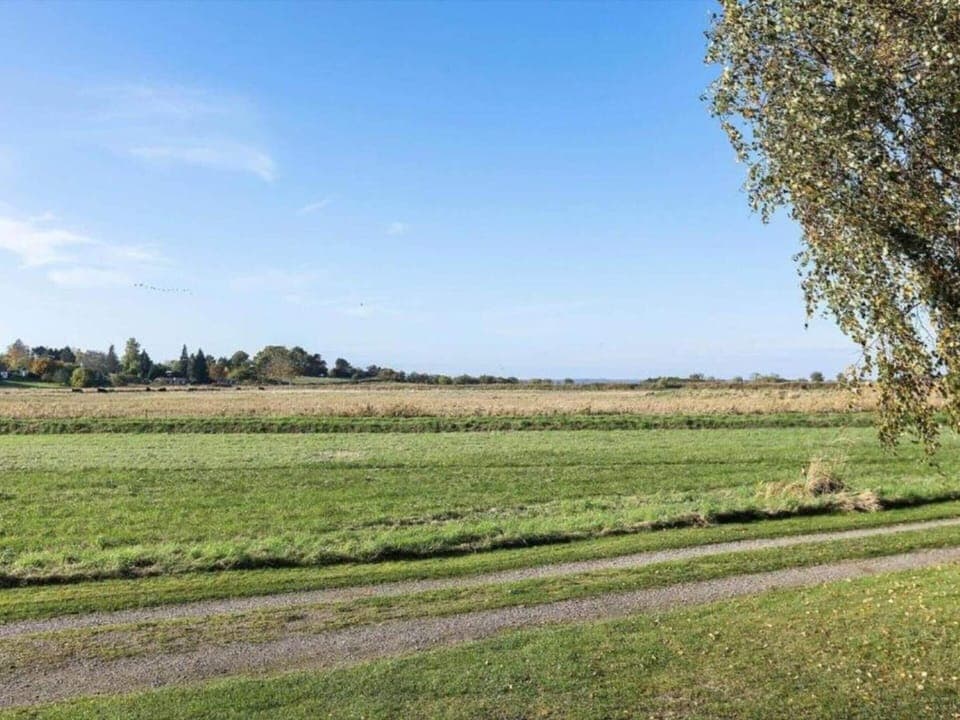 House | Miscellaneous