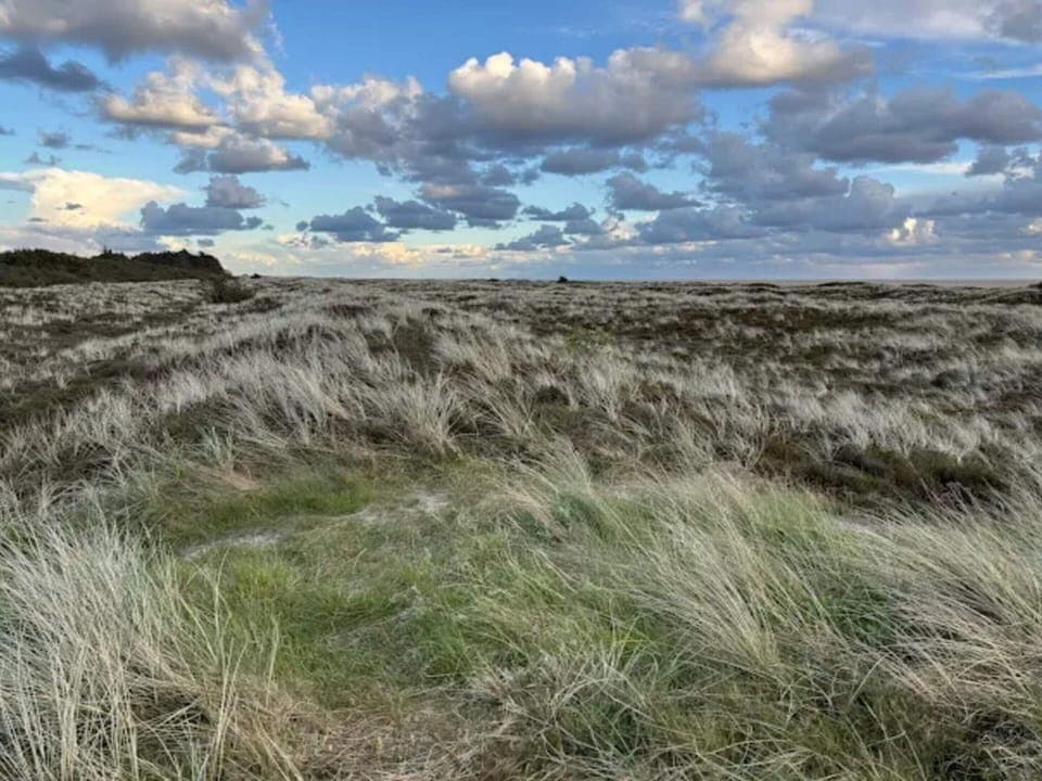 House | Miscellaneous