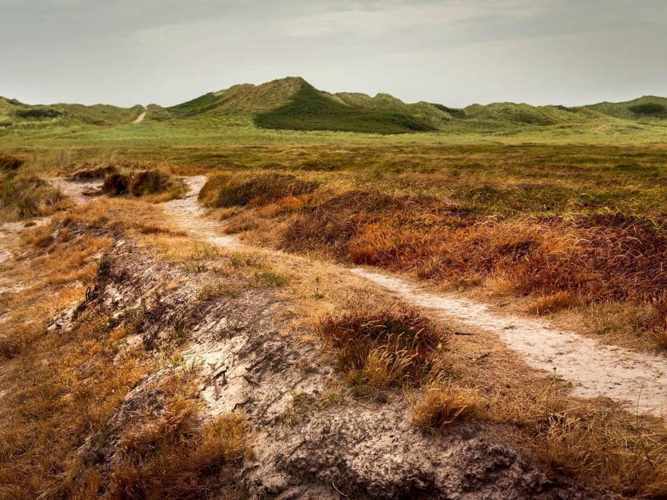 House | Miscellaneous