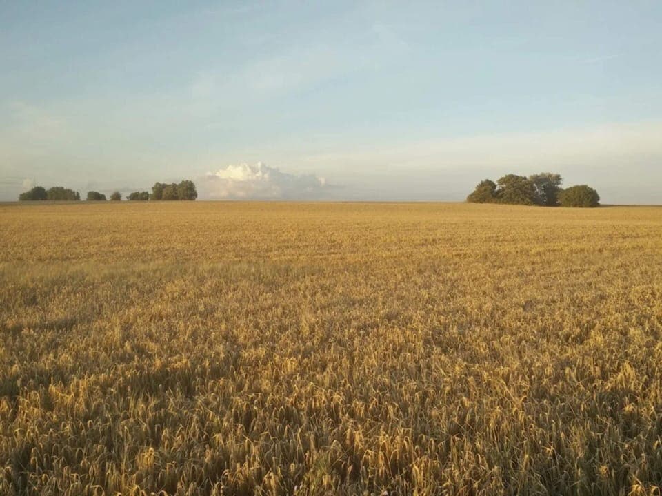 House | Miscellaneous