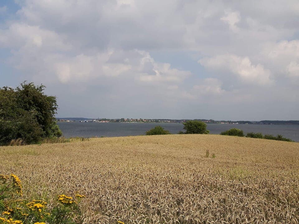 Apartment | Miscellaneous