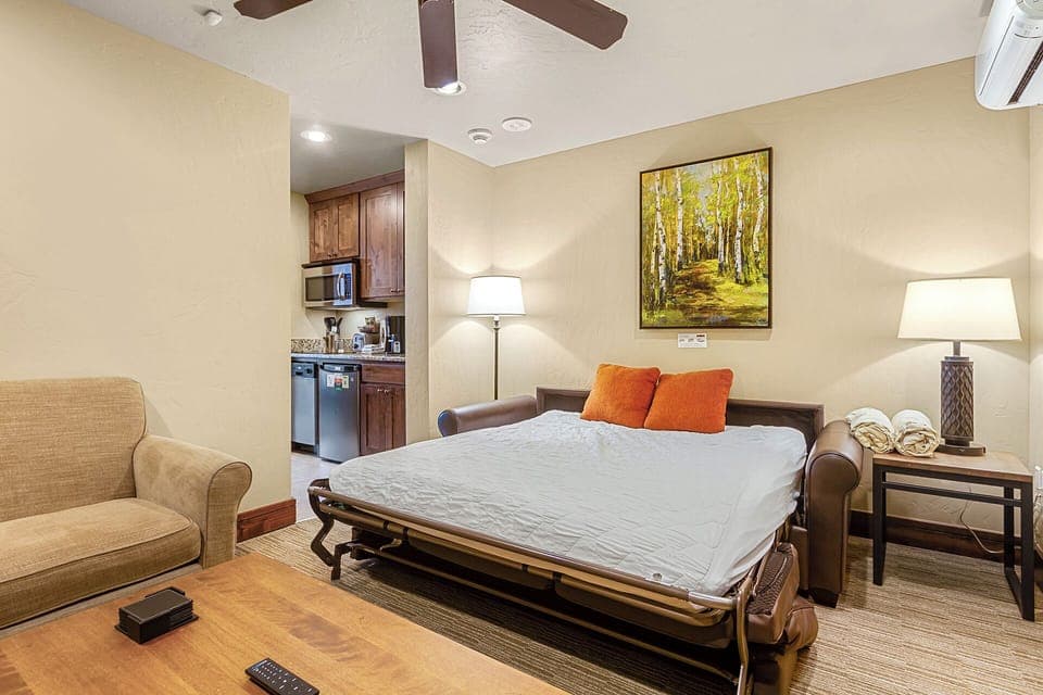 Lock-off suite Sofa Sleeper