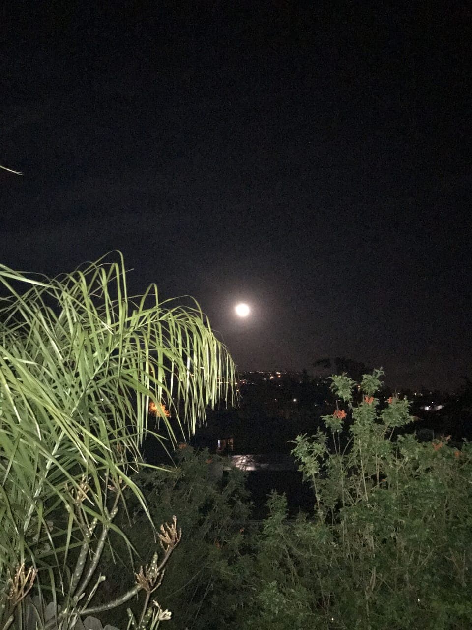 Moonrise from Backyard.