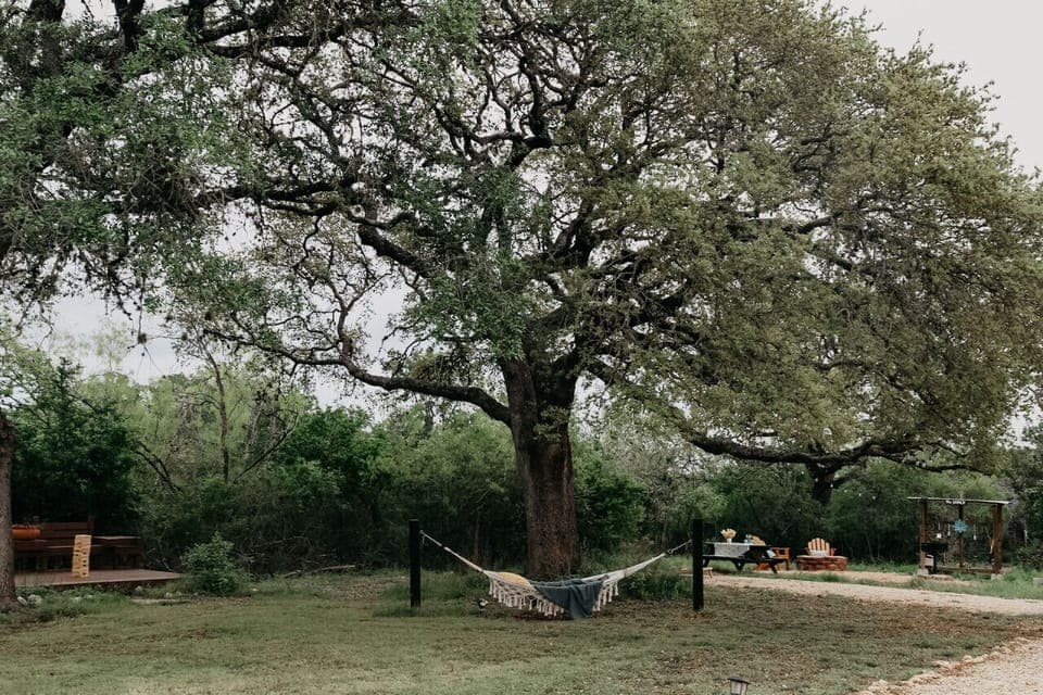 A wide shot of much of our common area, the tire swing and walking trail head is on the front side of our common area.