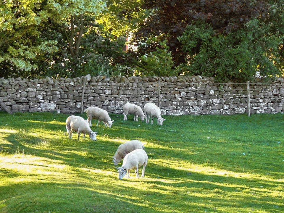 View from the front of the cottage | Snowdrop Cottage, Thornton Steward, near Leyburn