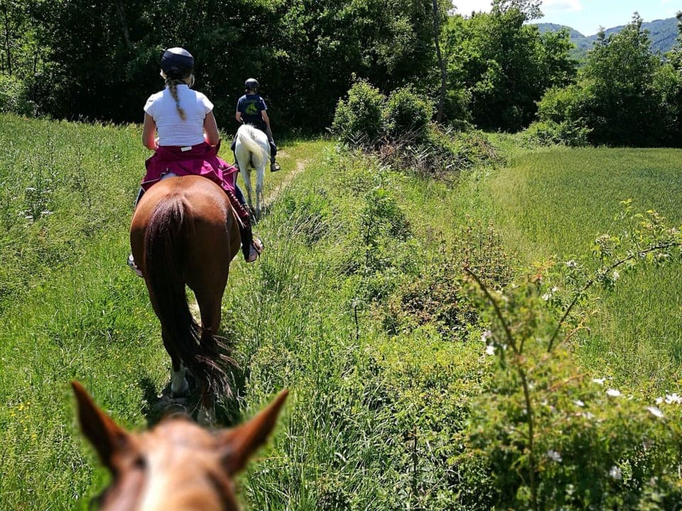 House | View from property