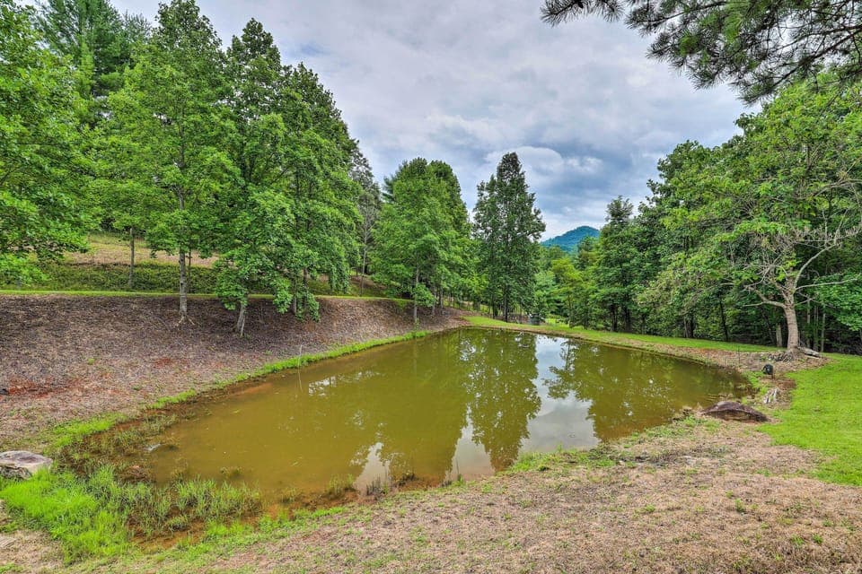 Apartment (1 Bedroom) | Interior