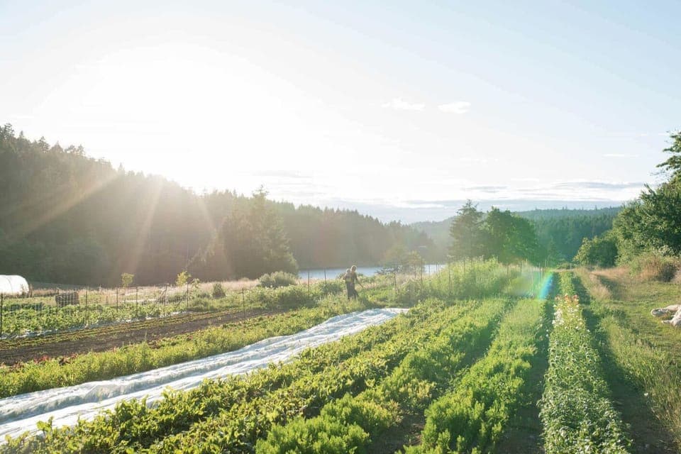Visit one of our local farms