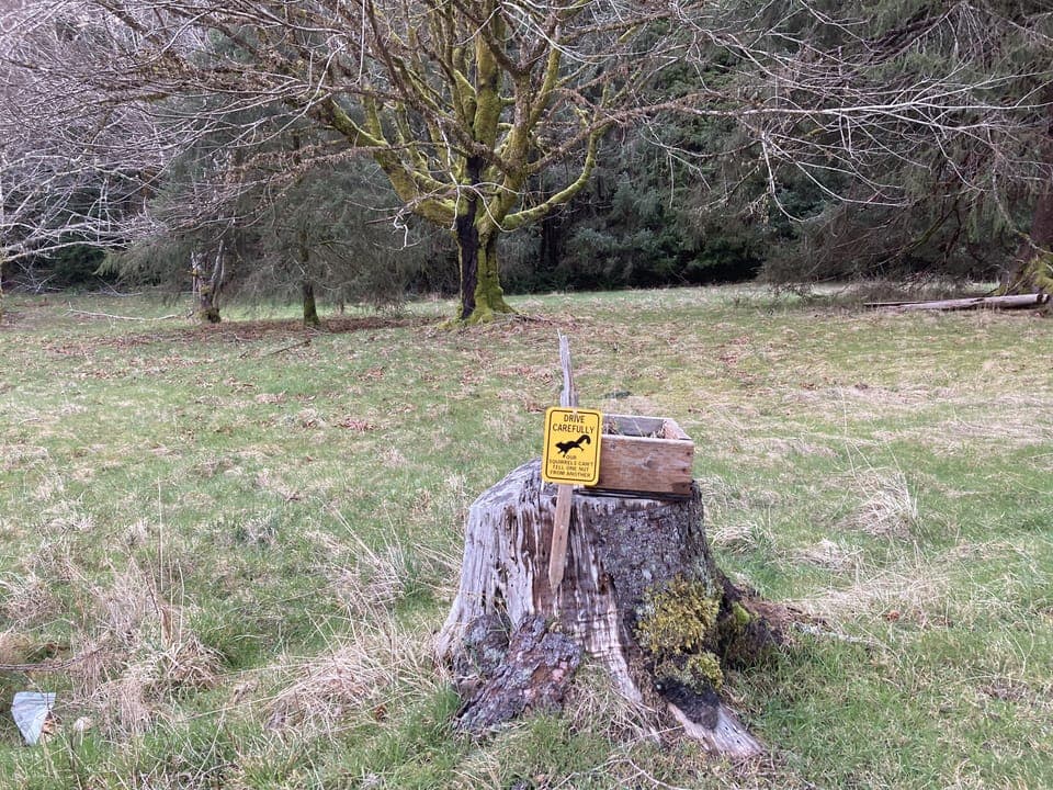 just a stump in the field