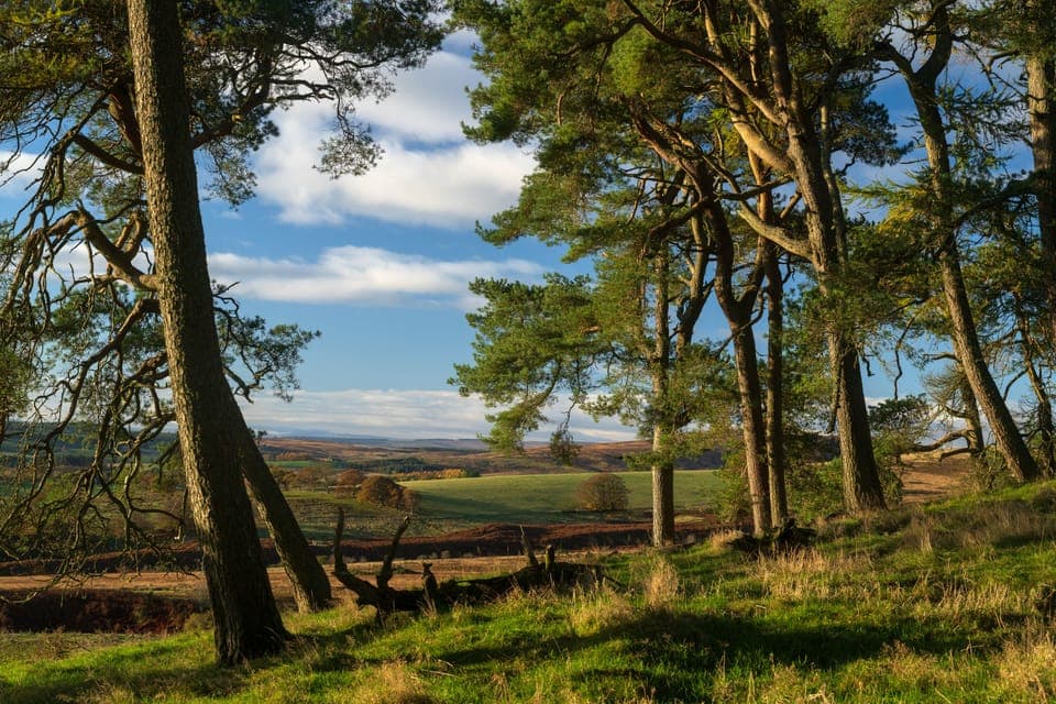 Logiealmond Estate landscape