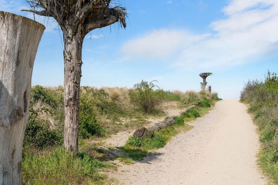 Surroundings [summer] (1-5 km)