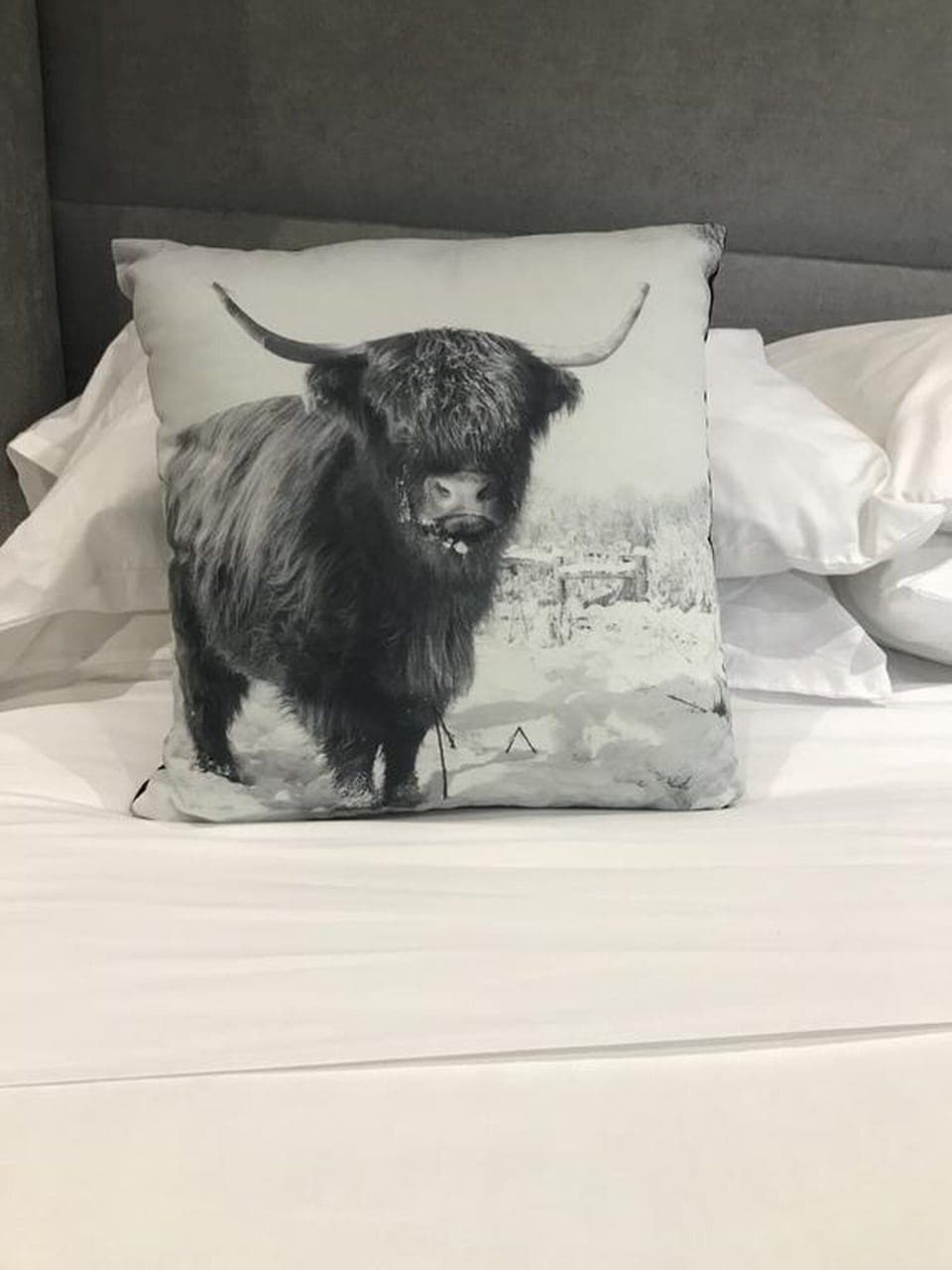 Superior Double Room, Ensuite