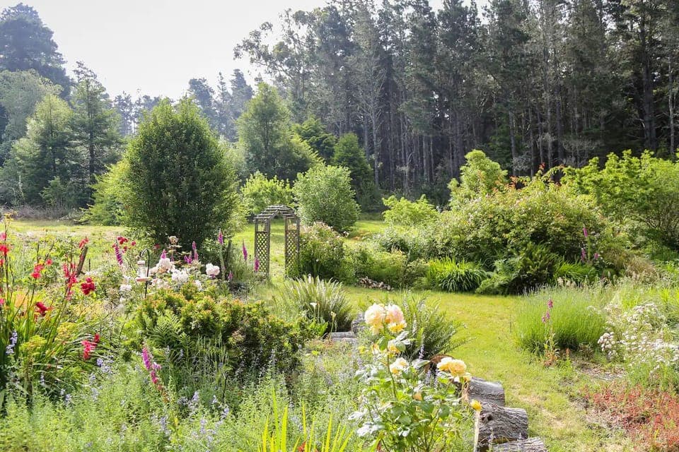 An idyllic country garden and heritage apple orchard greet you upon your arrival