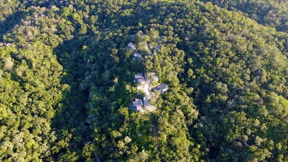 Surrounded by Nature