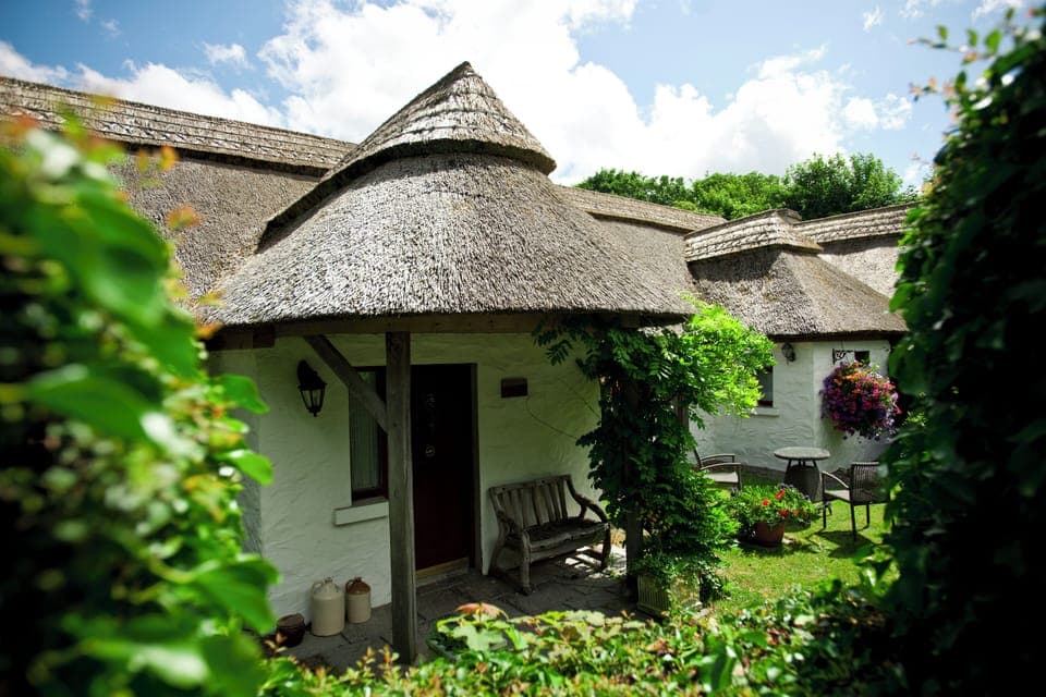 Little Orchard Cottage, 3 bedroomed with large bright open plan living area.