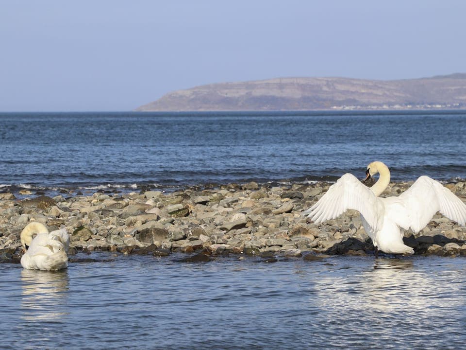 Cottage | Property grounds