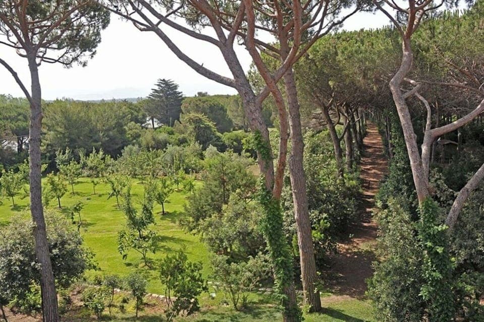 Balcony / Terrace / Patio, Building Exterior, Garden, Outdoor, Pool, Spring, Summer