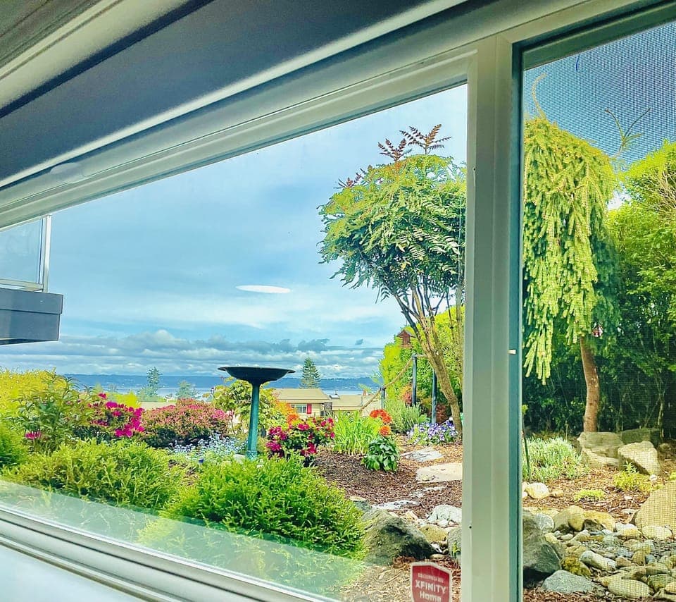 View from Living room