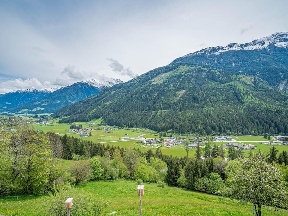 View from Holiday Home [summer]